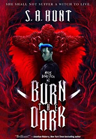 Something Wicked This Way Waits: Burn the Dark by S.A. Hunt